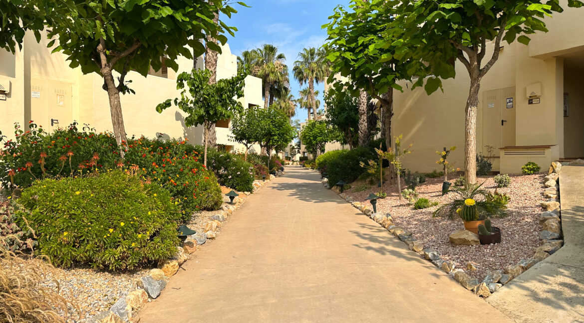 image00012